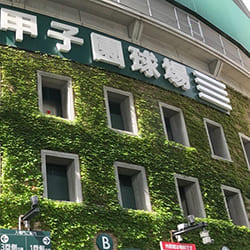 【前編】熱中症やケガを予防して野球を楽しもう！～クーリングを活用した熱中症対策編～
